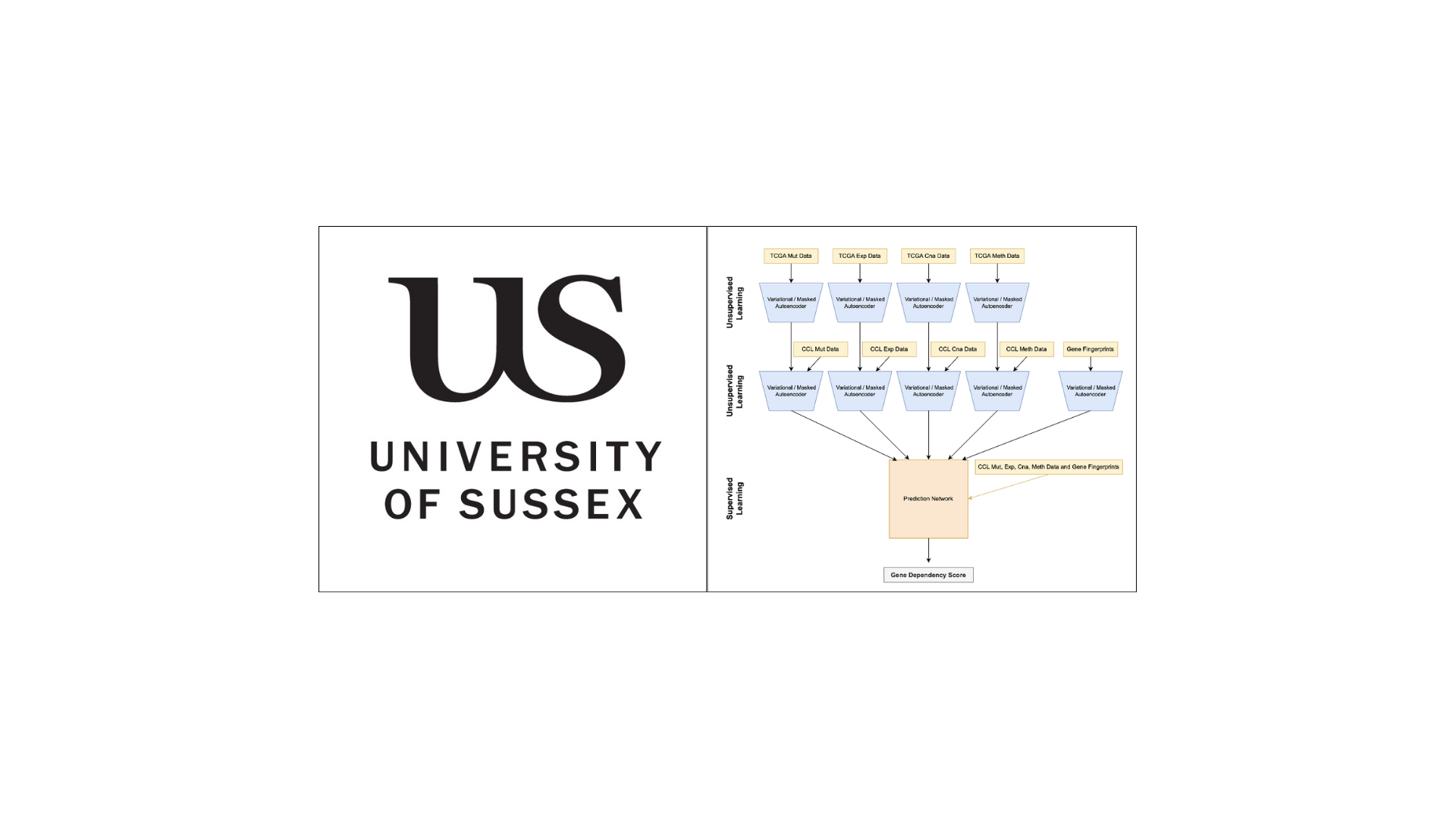 Self-Supervised Learning for Cancer Dependencies